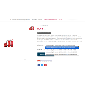 estintore, rosso, polvere, portatile, sicurezza, 1kg