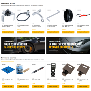 Boutique Dropshipping BGS Technic clé en main - outillage automobile pro 9 500 réf 16 langues