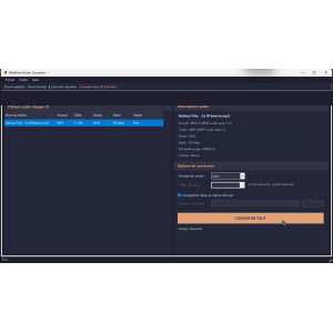 Audio-Konvertierungssoftware, Benutzeroberfläche, MP3, WAV