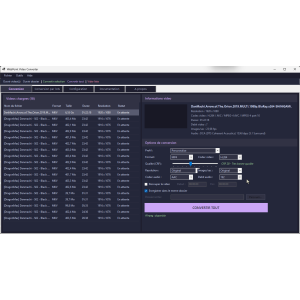 video conversion software, user interface, various options