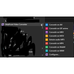 logiciel, convertisseur, vidéo, outils, interface, simple