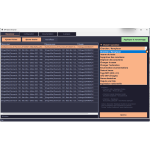 software, interfaccia, rinominare, file, gestione, strumento