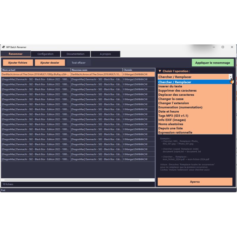 software, interface, renomear, arquivos, gestão, ferramenta